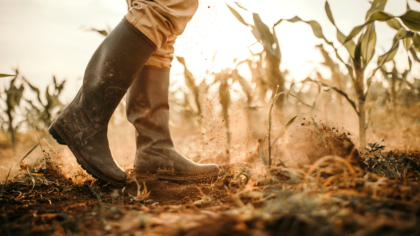 Person's boots walking through a field